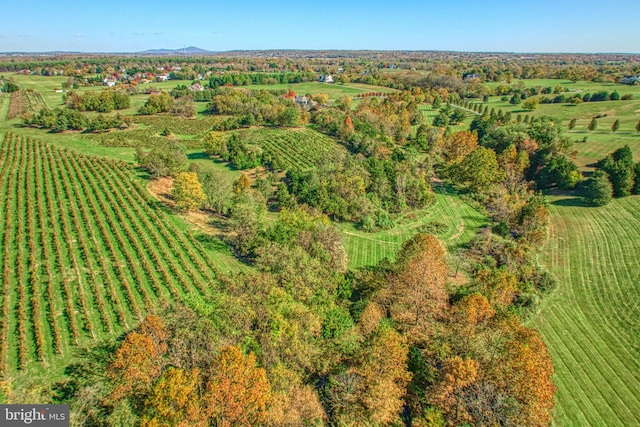 bird's eye view with a rural view