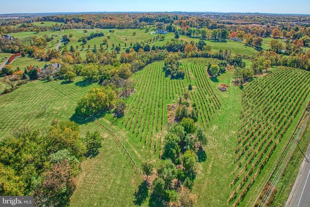 birds eye view of property with a rural view