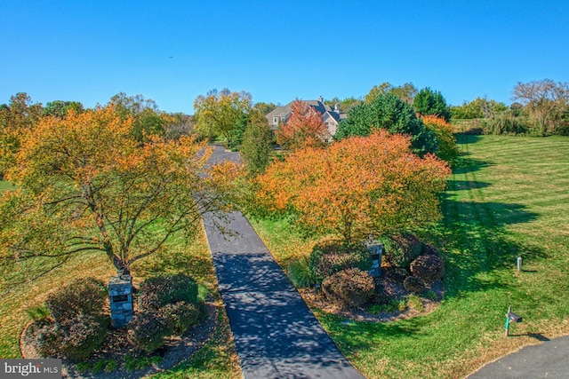 bird's eye view