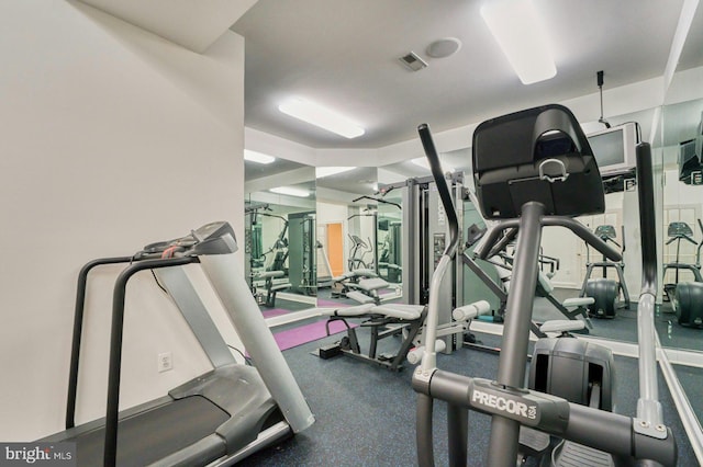 17061 Spring Creek Ln, Leesburg, VA 20176 - view of gym