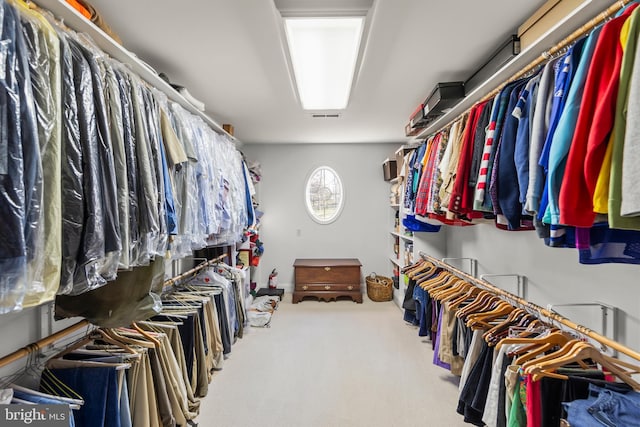 walk in closet featuring carpet flooring