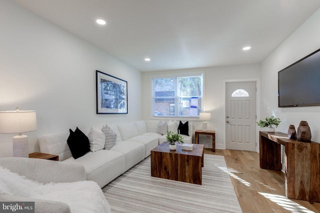 living room with light wood-type flooring