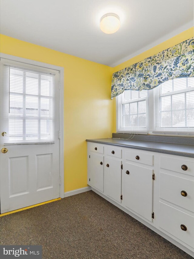 interior space with dark carpet and white cabinetry