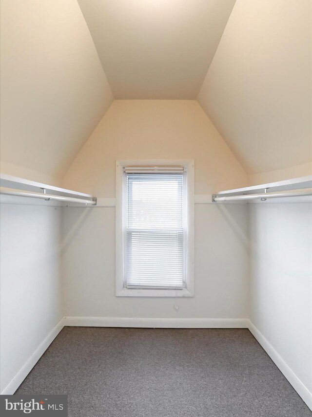 walk in closet featuring lofted ceiling and carpet floors