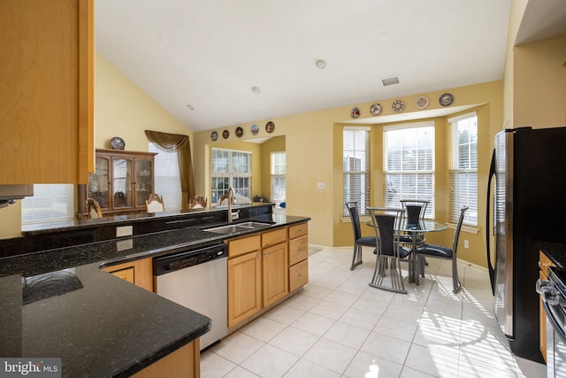 kitchen with dark stone countertops, sink, and stainless steel appliances