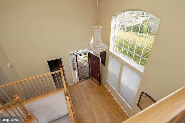 foyer entrance with wood-type flooring