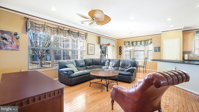 living room with light hardwood / wood-style floors, ceiling fan, and ornamental molding