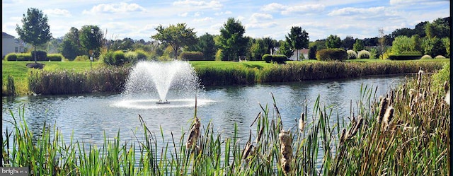 view of water feature