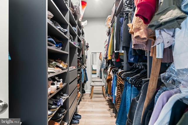 spacious closet featuring light wood-type flooring