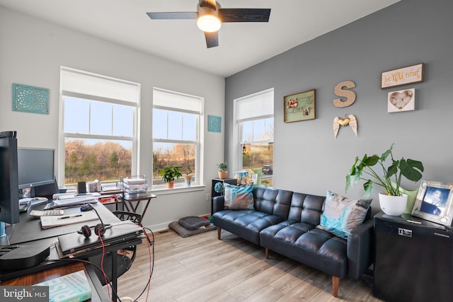 office area featuring ceiling fan and light hardwood / wood-style flooring