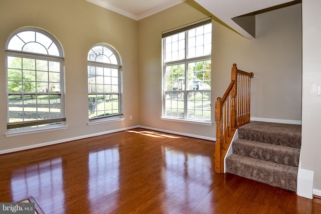 interior space featuring crown molding and dark hardwood / wood-style floors