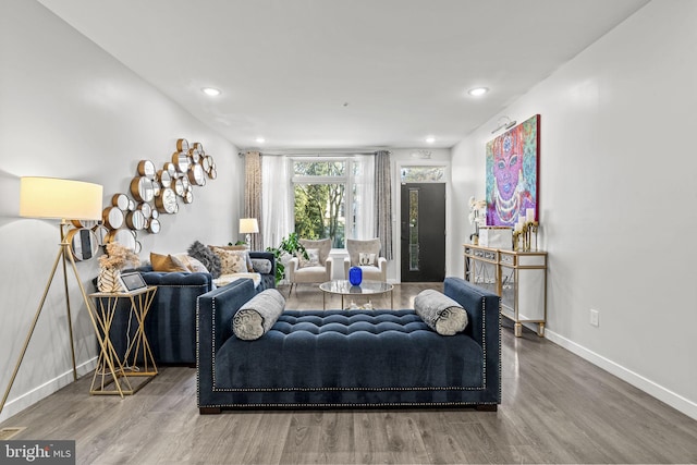 living room with hardwood / wood-style flooring