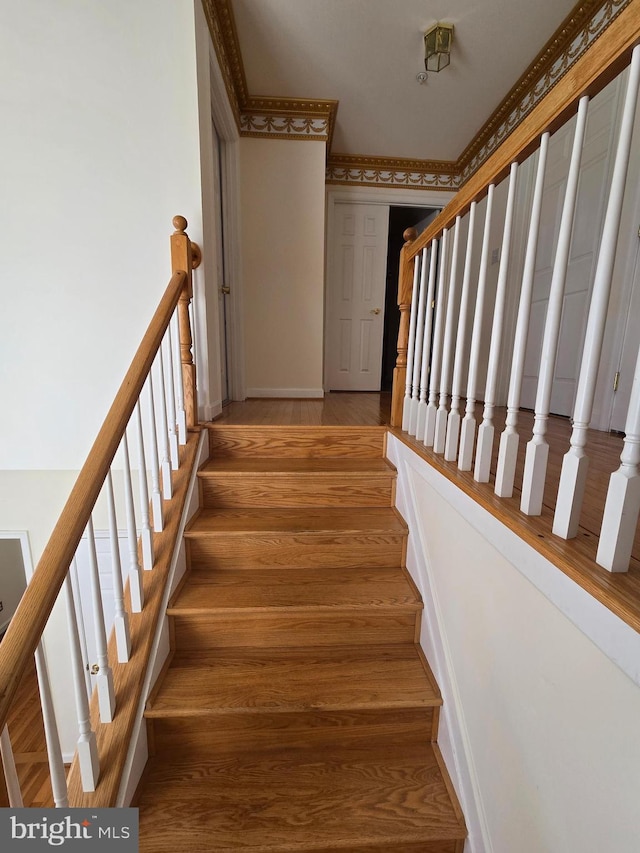 stairway with wood-type flooring