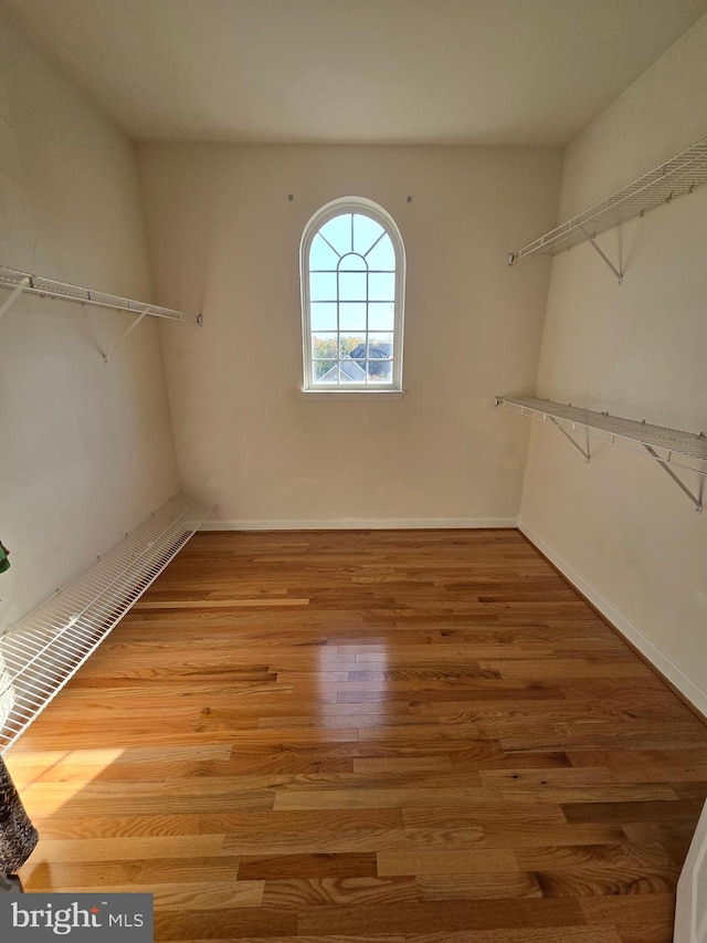 walk in closet with hardwood / wood-style flooring