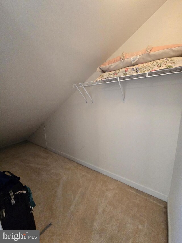 walk in closet with light carpet and lofted ceiling