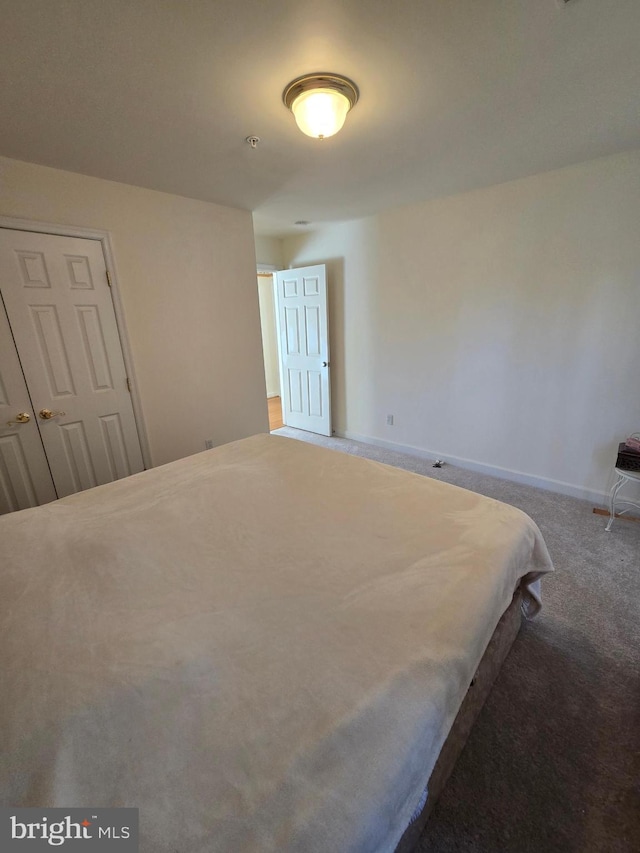 bedroom with a closet and carpet