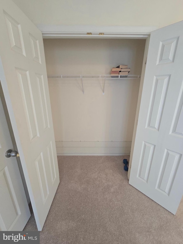 view of closet