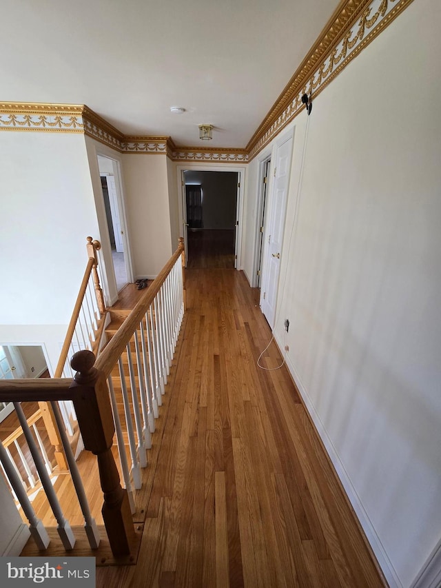 hall featuring wood-type flooring and ornamental molding