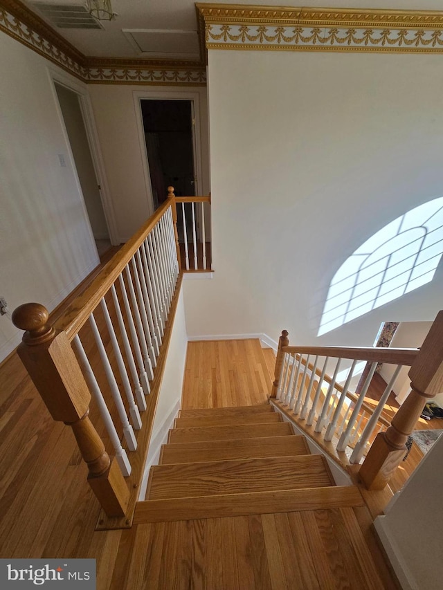 stairs with hardwood / wood-style flooring