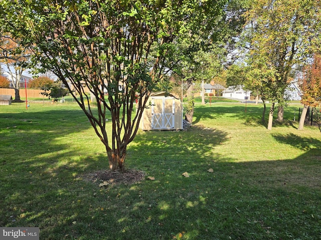 view of yard with a storage shed