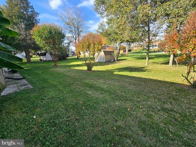 view of yard with a storage shed