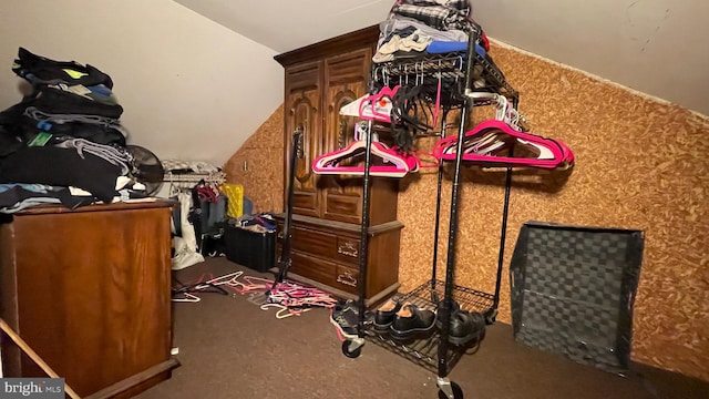 spacious closet featuring vaulted ceiling and carpet floors