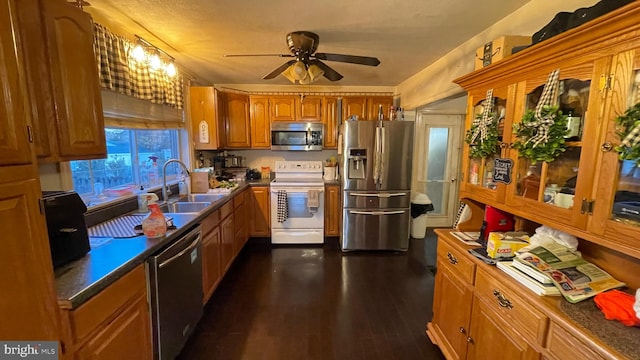 kitchen with dark wood-type flooring, ceiling fan, sink, and stainless steel appliances