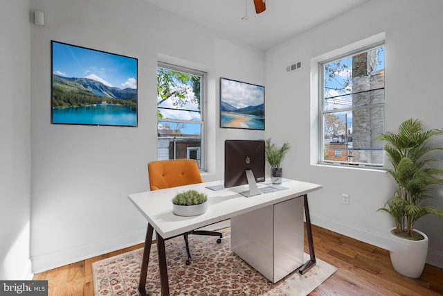 office with ceiling fan, a healthy amount of sunlight, and light hardwood / wood-style flooring