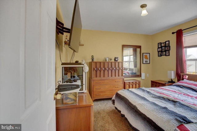 bedroom featuring multiple windows and light colored carpet