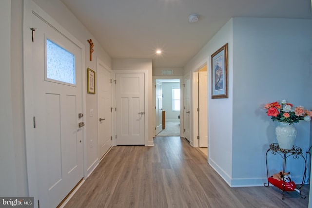 foyer entrance with a wealth of natural light and light hardwood / wood-style floors