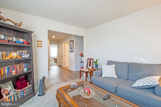 living room with wood-type flooring