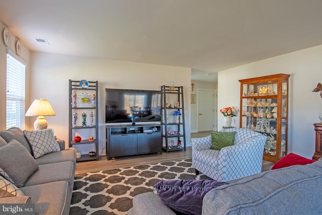 living room with hardwood / wood-style floors