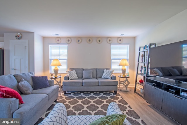 living room featuring a wealth of natural light and light hardwood / wood-style flooring