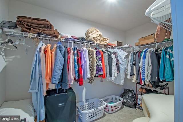 walk in closet featuring carpet