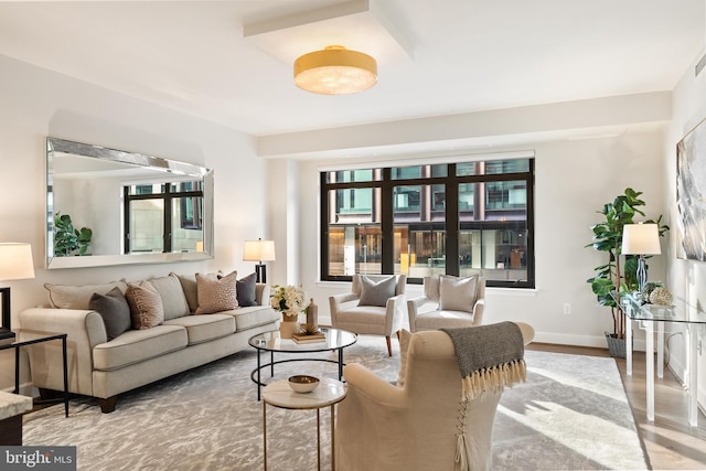 living room with hardwood / wood-style flooring and a healthy amount of sunlight