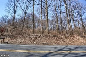 Listing photo 2 for 0 N Ridge Rd, Reinholds PA 17569