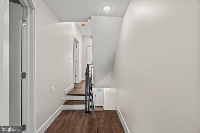 stairway with hardwood / wood-style floors