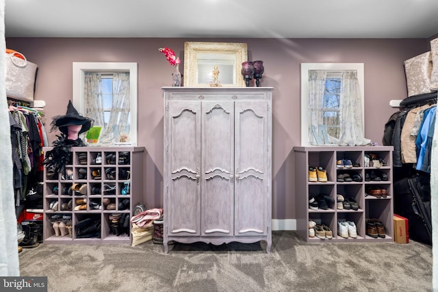 walk in closet featuring carpet