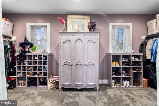 3204 State Route 72, Jonestown, PA 17038 - walk in closet featuring carpet floors