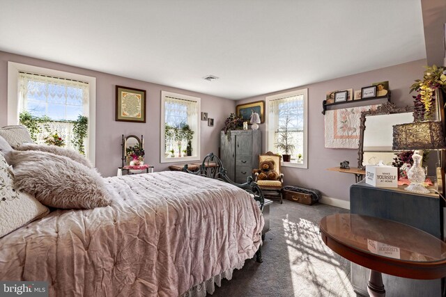3204 State Route 72, Jonestown, PA 17038 - carpeted bedroom featuring multiple windows and baseboards