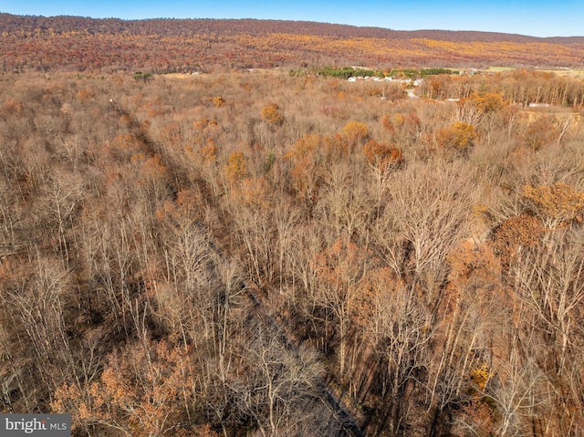 view of mountain feature