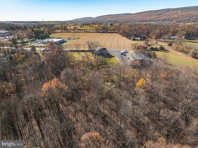 aerial view featuring a mountain view and a rural view