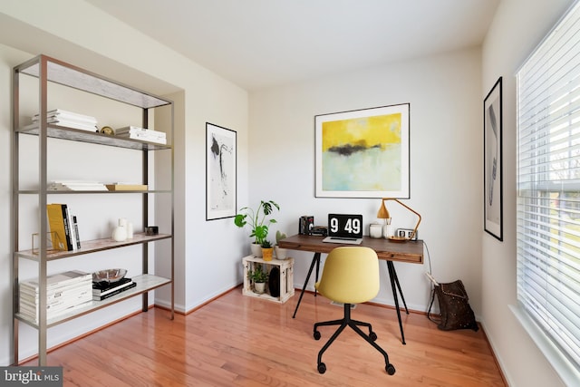 office space featuring light hardwood / wood-style flooring