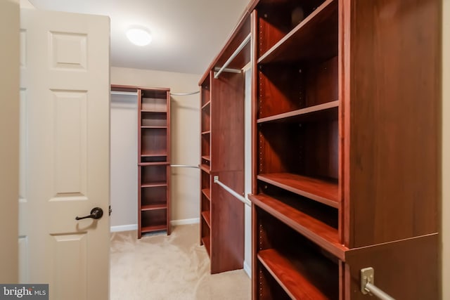 walk in closet with light colored carpet