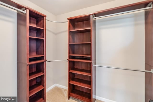 view of walk in closet