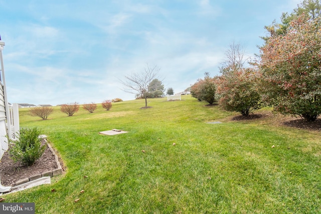 view of yard with a rural view