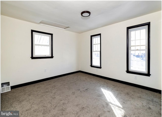 empty room with carpet flooring and a wealth of natural light