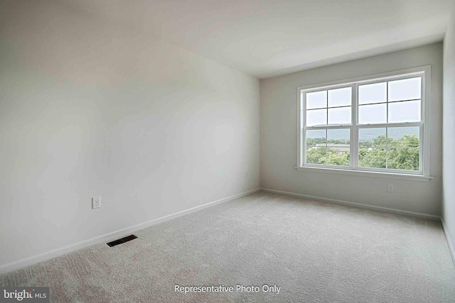 carpeted empty room featuring a wealth of natural light