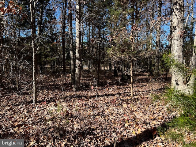 0 Wilson Ave, Millville NJ, 08332 land for sale