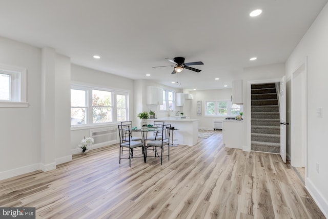 dining room with radiator, light wood-type flooring, sink, and ceiling fan